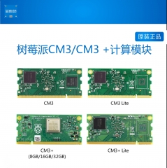 树莓派3 计算机核心模块 CM1/CM3/CM3LT/CM3+ 8G/16G/32G/LT CM3