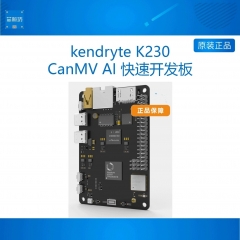 勘智 kendryte CanMV K230开发板 开发板 k230 AI快速开发板 标配