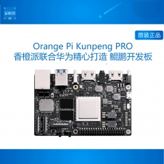 kunpeng pro香橙派开发板鲲鹏8TOPS算力支持双4KopenEuler 8G标配