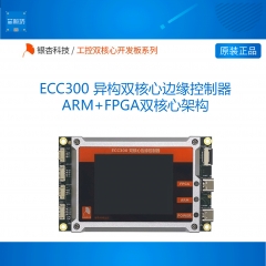 ECC300 ARM FPGA双核心板开发板 STM32H743 EP4CE115 银杏科技 ECC300(不含仿真器)
