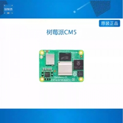 树莓派CM5计算模块Compute module 5核心板原装进口CM5104032现货 CM5104032现货